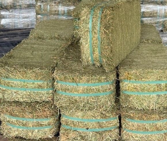 Stacks of Square Hay Bales Bound With Green Twine — NQ Stockfeeds & Farm Supplies In Cairns, QLD
