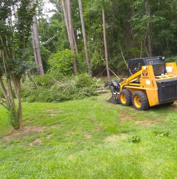A yellow and black skid steer is parked in a lush green field.