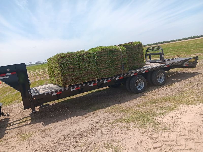 A trailer with bales of grass on it is parked in a field.