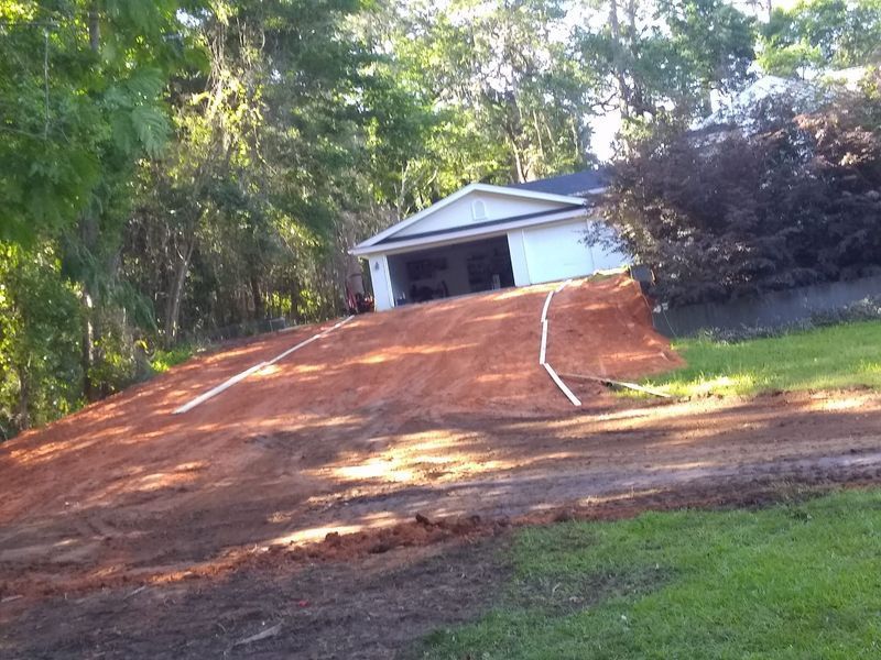 A dirt road leading to a house in the woods