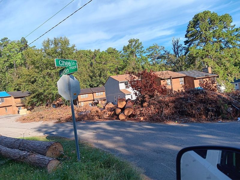 A street sign that says lakeview is next to a pile of logs
