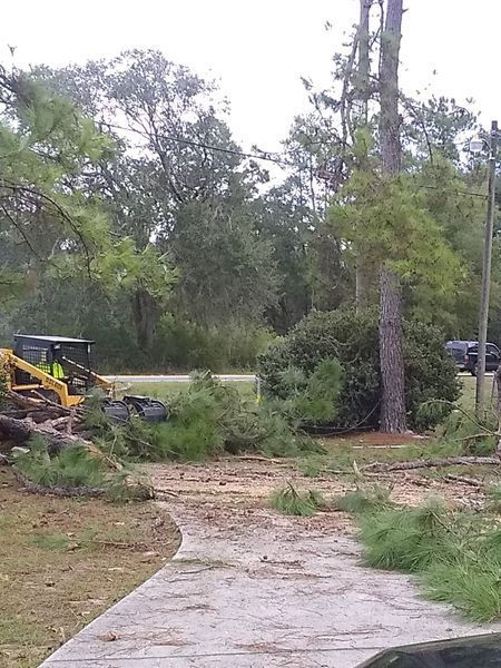 A tractor is cutting down a tree in a yard.
