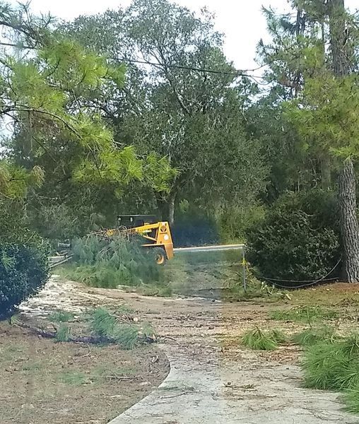A yellow truck is driving down a dirt road surrounded by trees.