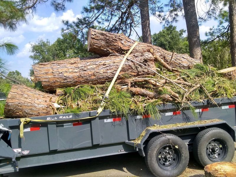 A trailer filled with logs and grass is parked in front of a forest.