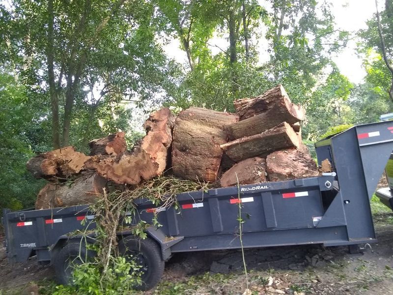 A dump truck is carrying a large pile of logs.