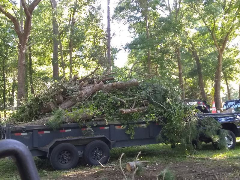 A dump truck is pulling a trailer full of logs in the woods.