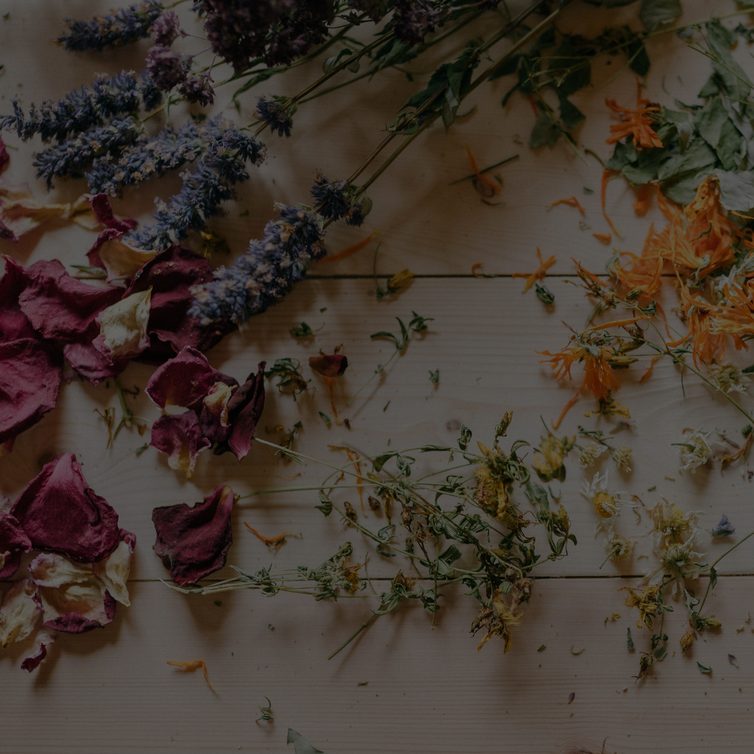 herbs floating in water