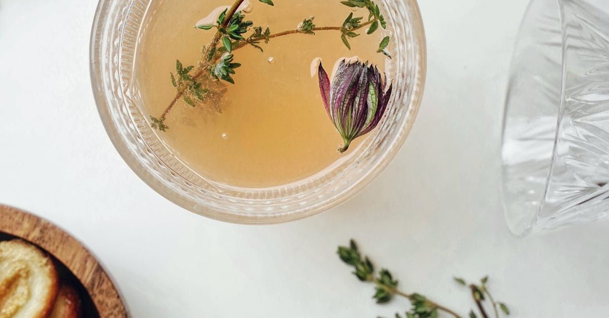 herbs floating in water