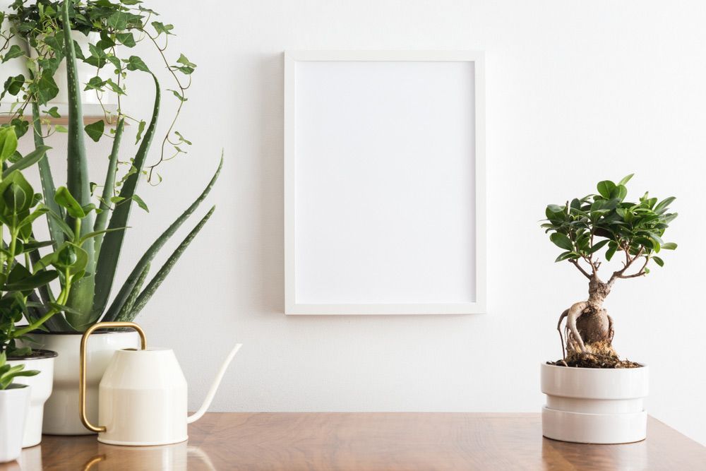 There Is A Picture Frame On The Wall Above The Table With Potted Plants — Yves De Wilde Quality Painting Services In Mullumbimby, NSW