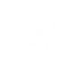 Space Bison Logo