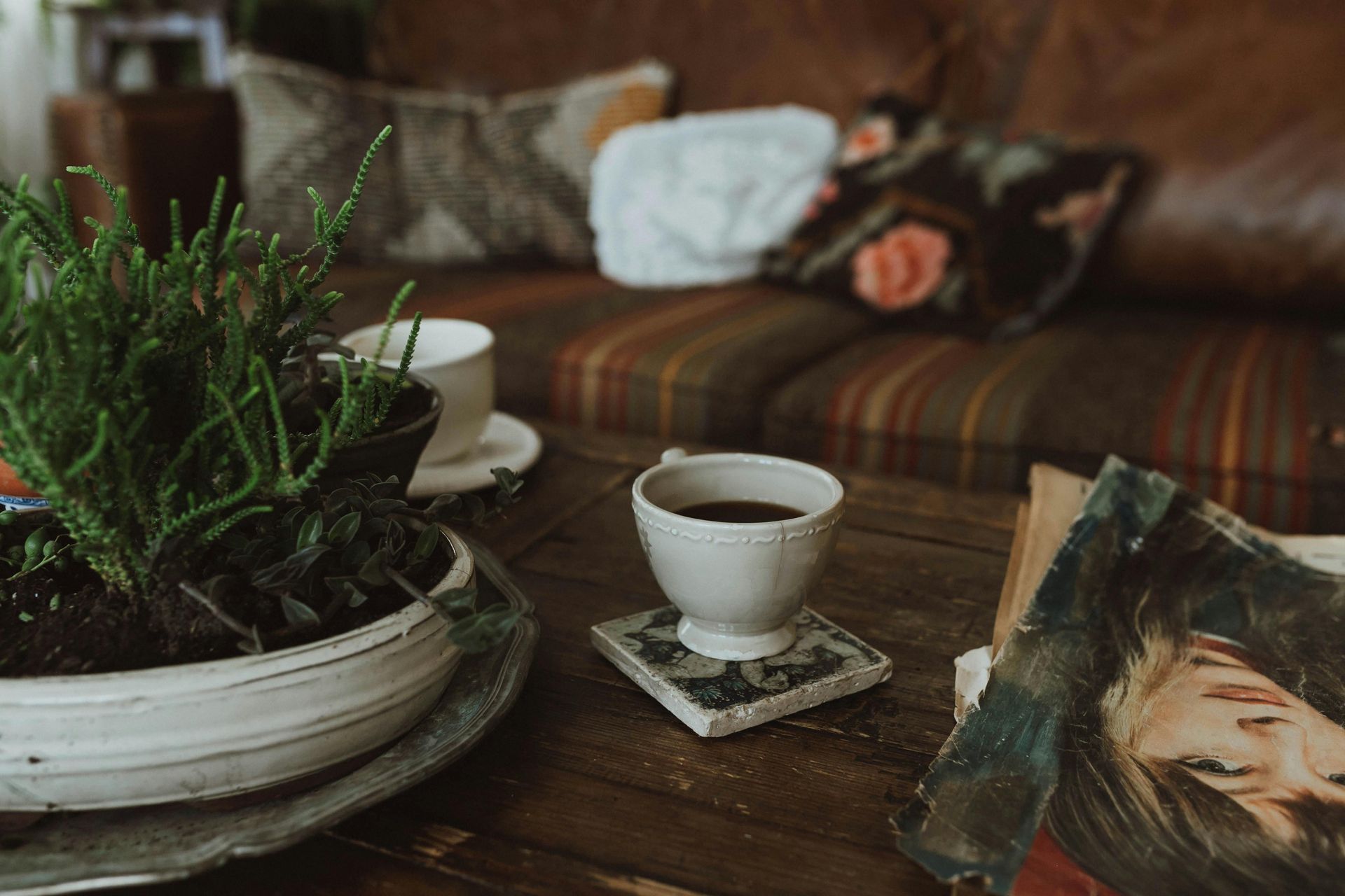 Coffee cup on a coaster, near a potted plant and a couch with pillows, on a wooden table.