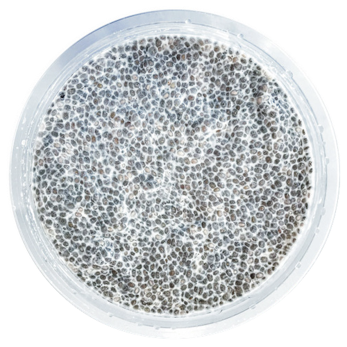 CHIA PUDDING