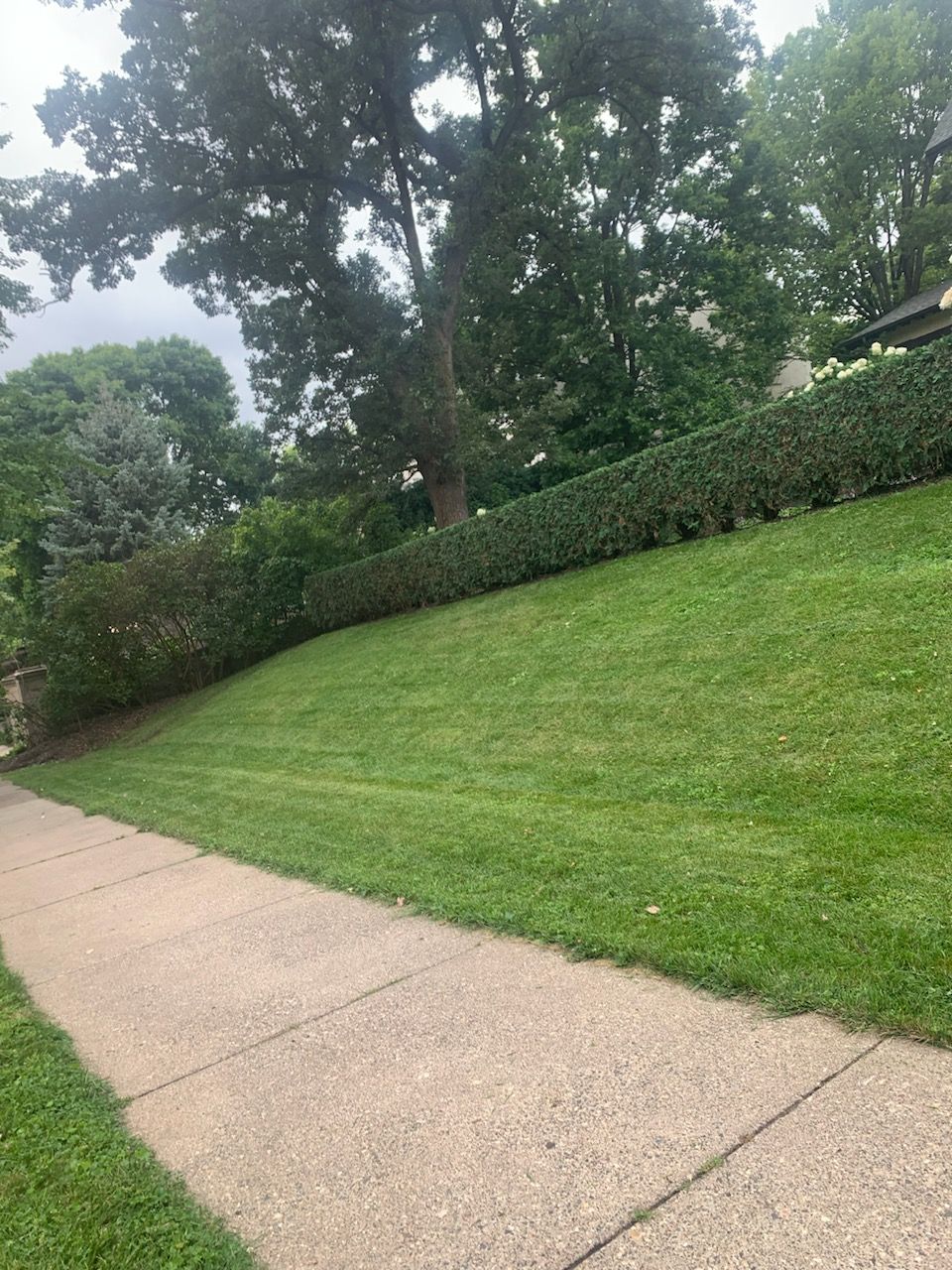 A man is using a lawn mower to cut the grass in a garden.