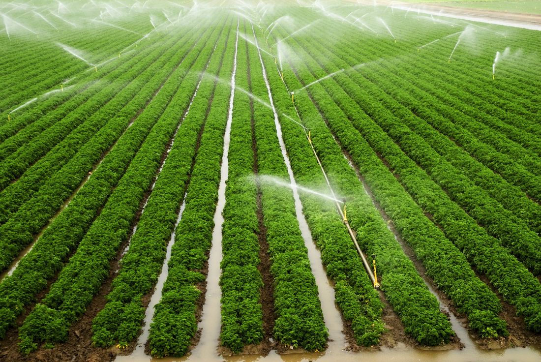 impianto di irrigazione