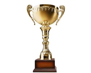 Trophy With Wooden Base — Trophies And Engraving Services In Dapto, NSW