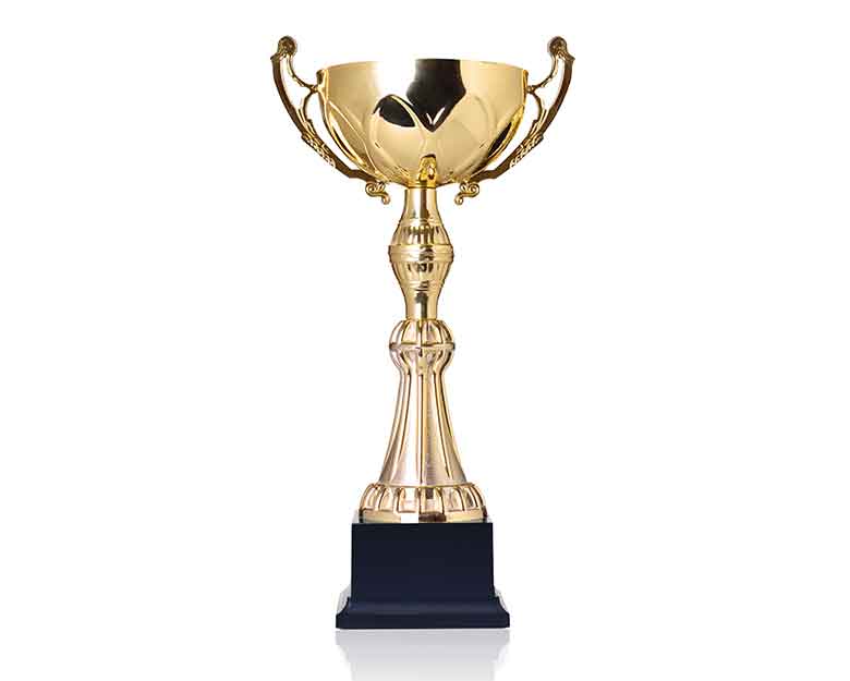 Trophy With Black Wooden Base — Trophies And Engraving Services In Dapto, NSW