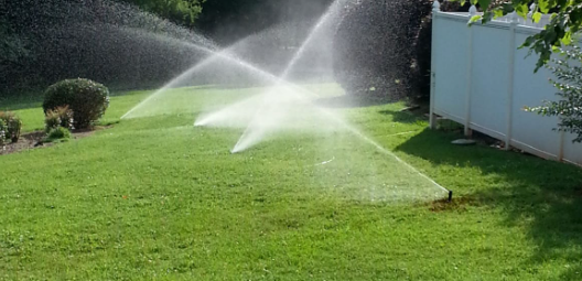 A sprinkler is spraying water on a lush green lawn.