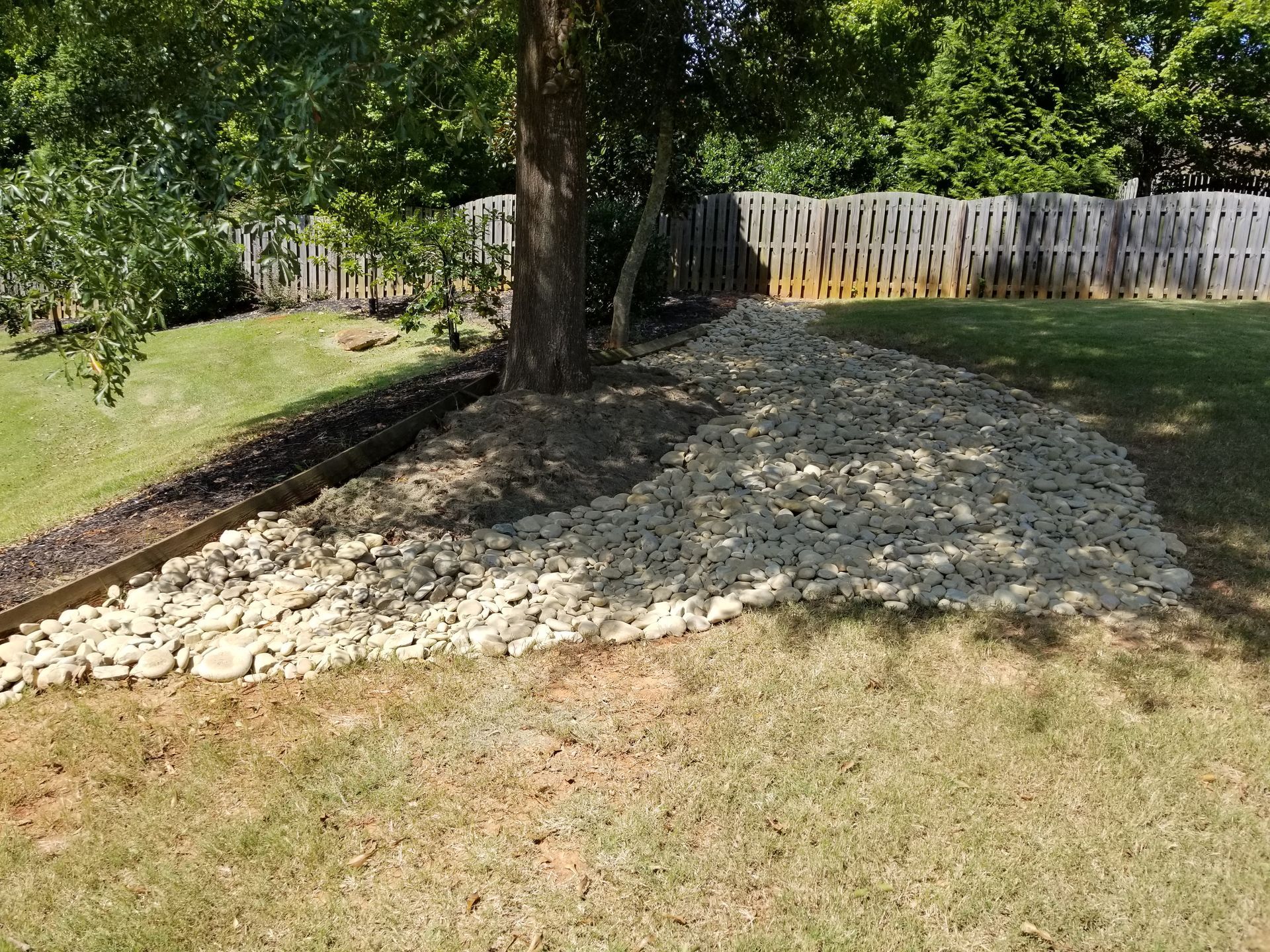 There is a tree in the middle of the yard with a fence in the background.