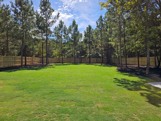 A large lawn with a wooden fence and trees in the background.