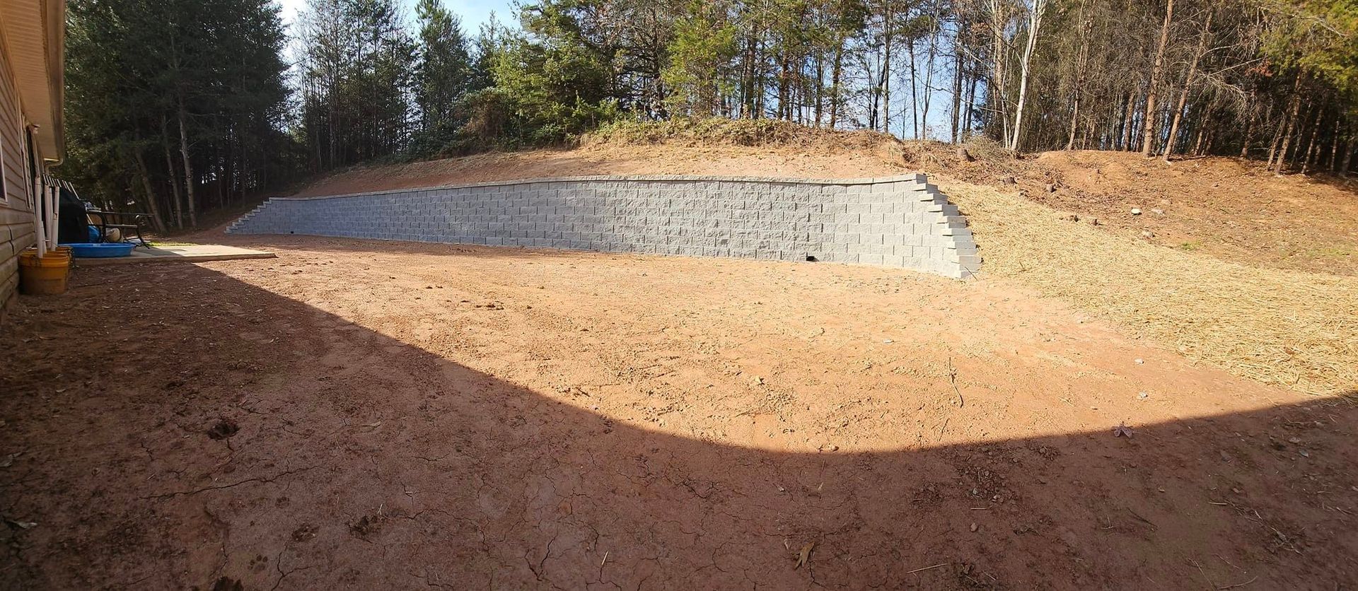 A large dirt field with trees in the background roebuck 