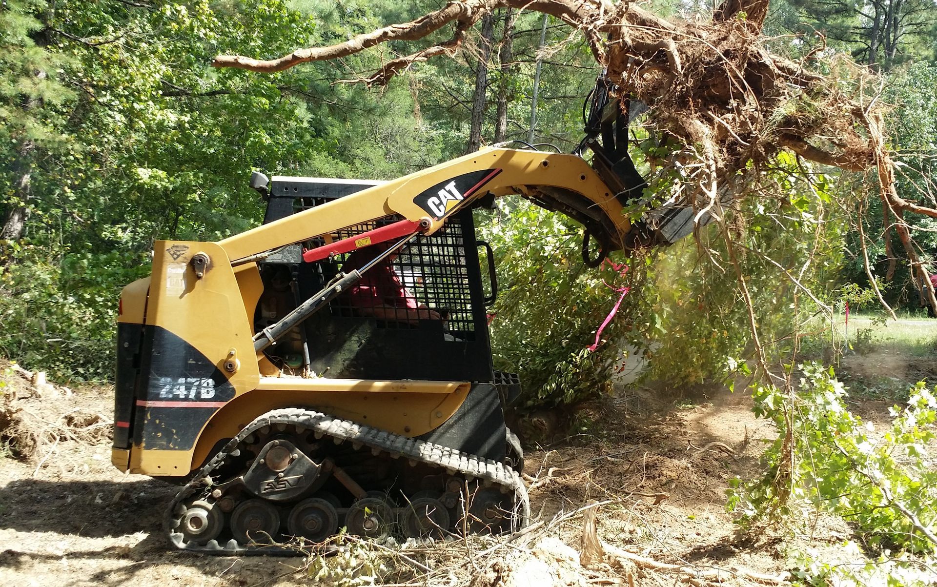 A bulldozer is cutting down a tree in the woods gramling