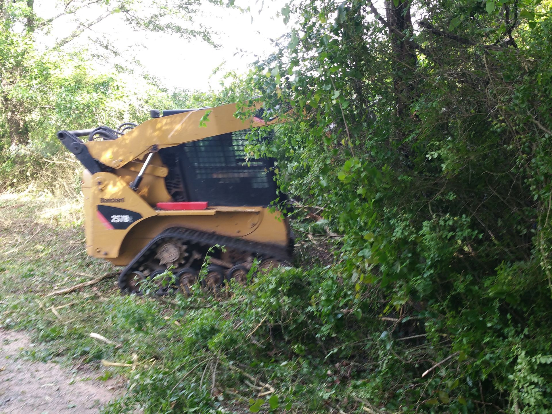 A bulldozer is sitting in the middle of a forest cowpens