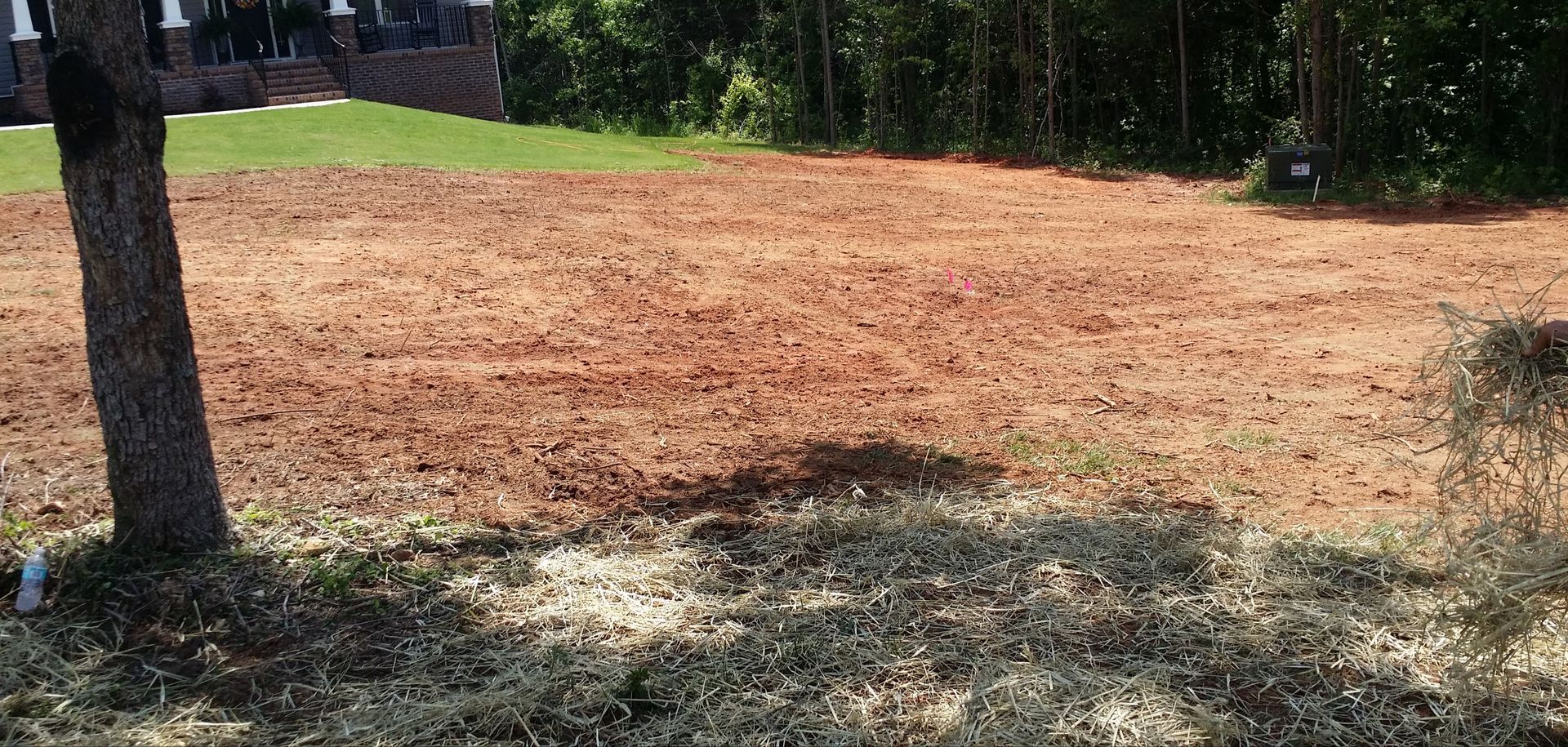 There is a tree in the middle of a dirt field gramling
