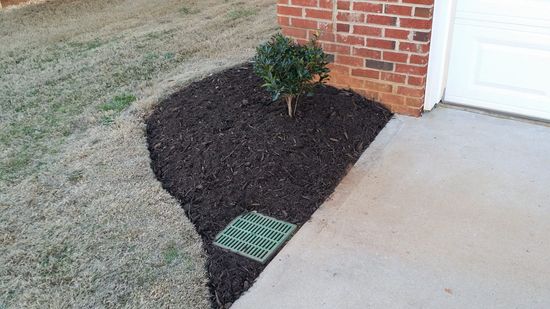 A tree is growing in a corner of a yard next to a brick building.