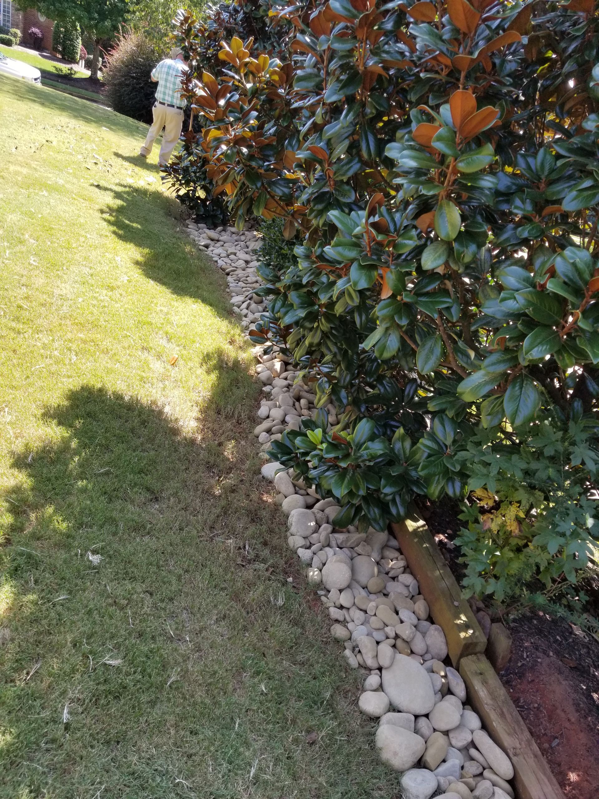 A man is standing in the grass next to a bush.