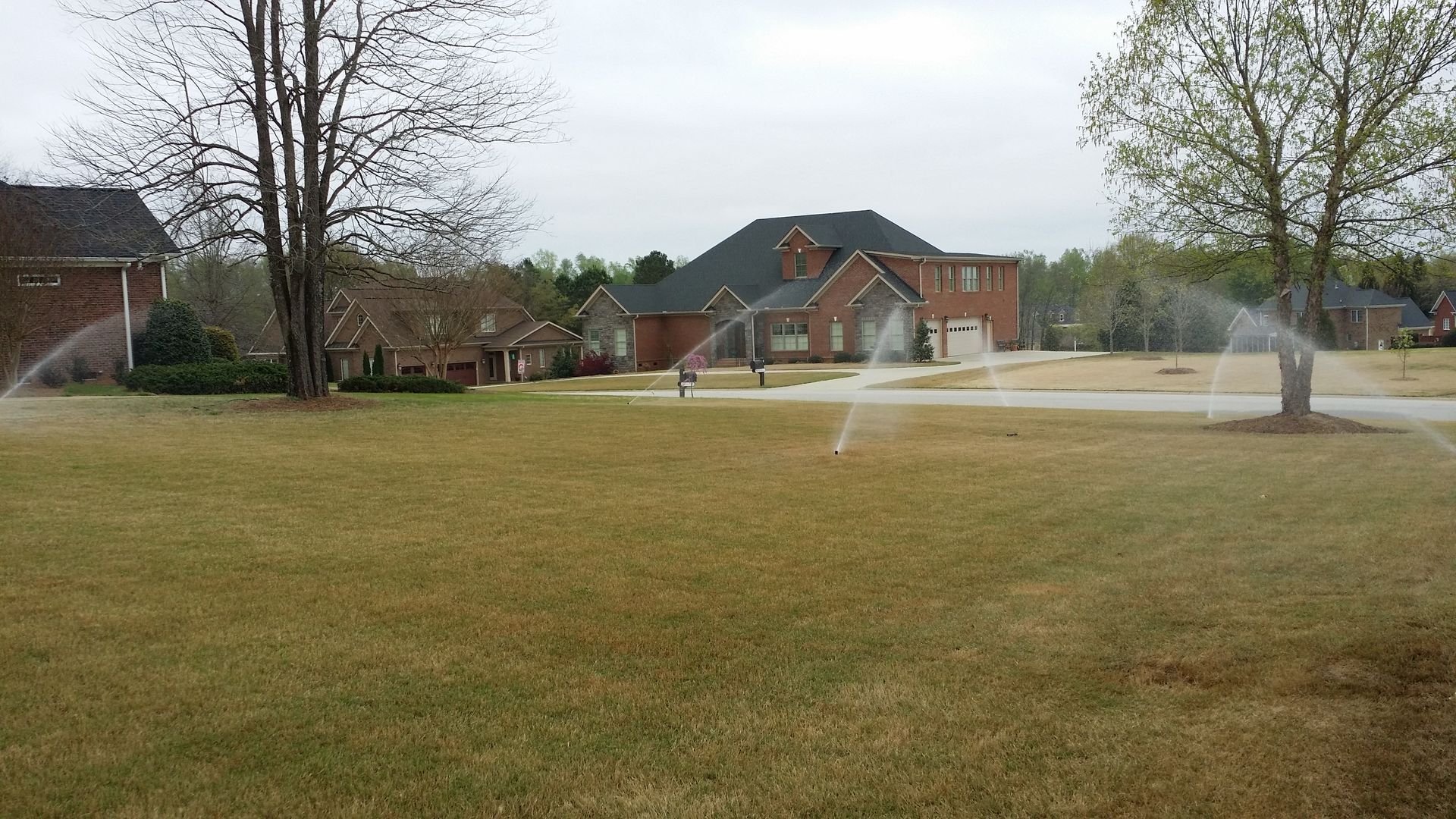 A lawn with a house in the background and sprinklers spraying water