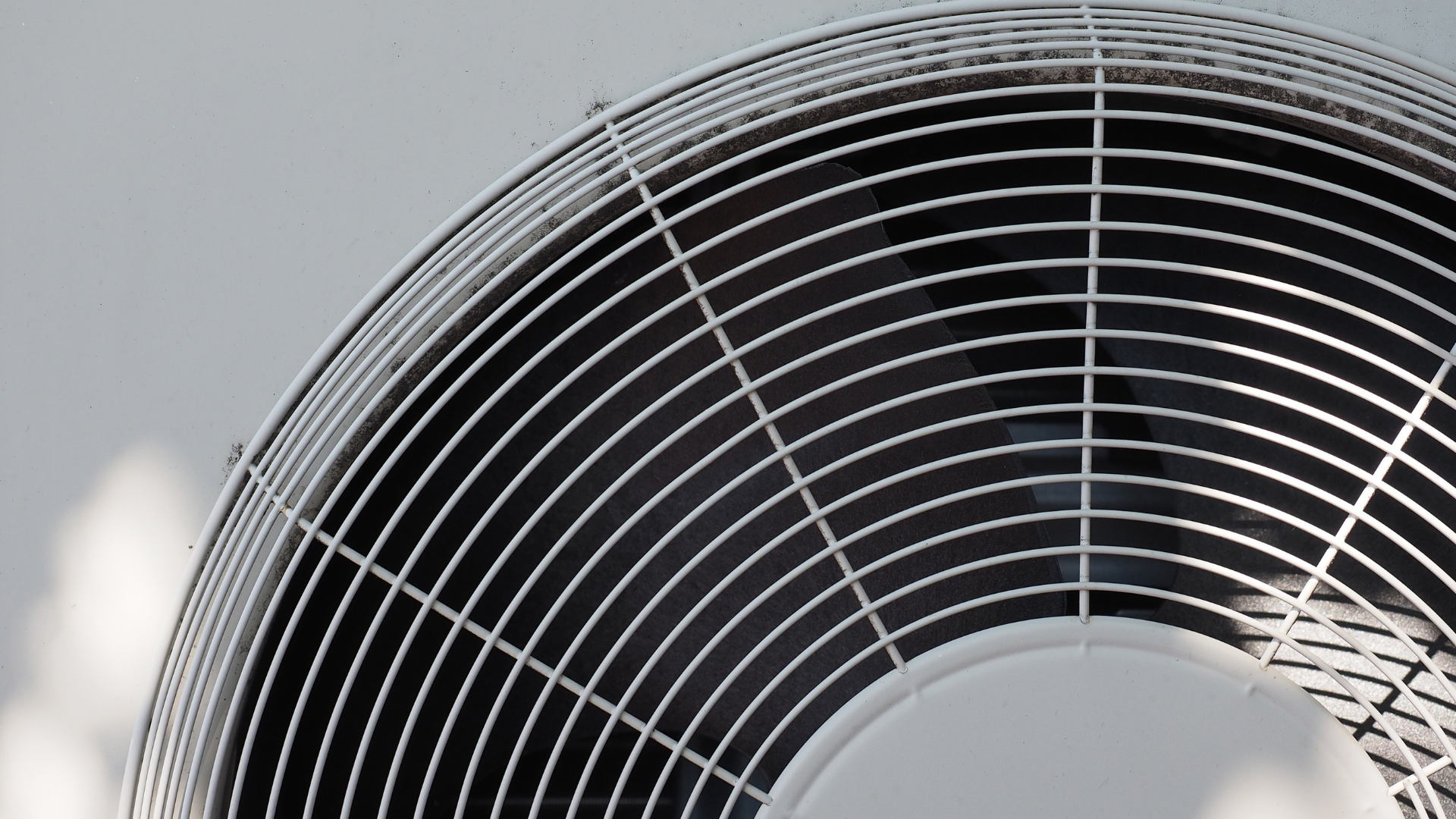 A close up of a fan with a gray background