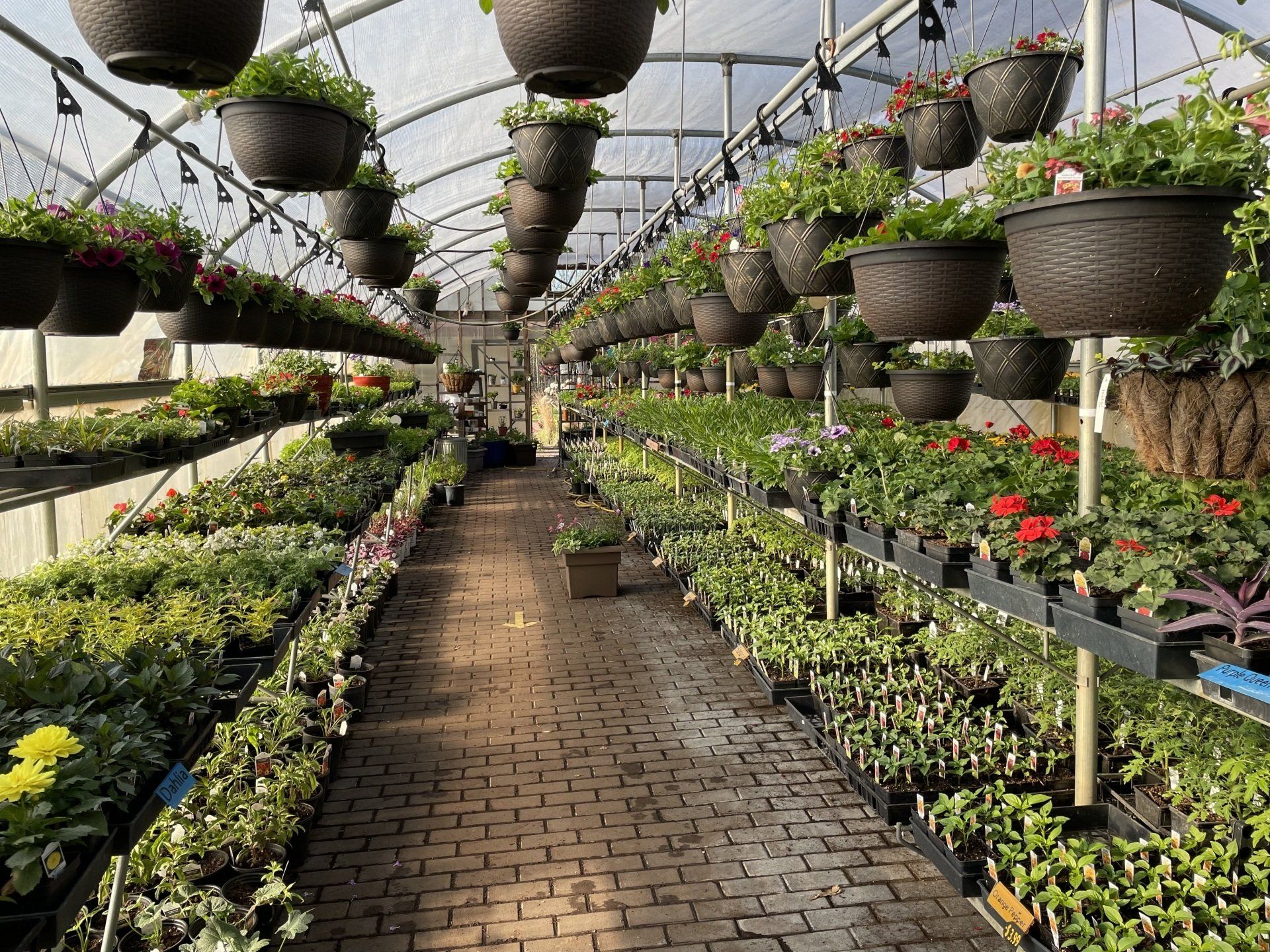 Nursery Garden — Prineton, MN — Legacy Landscaping and Irrigation