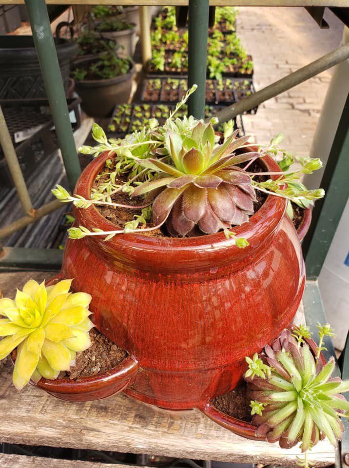 Flower Vase — Prineton, MN — Legacy Landscaping and Irrigation