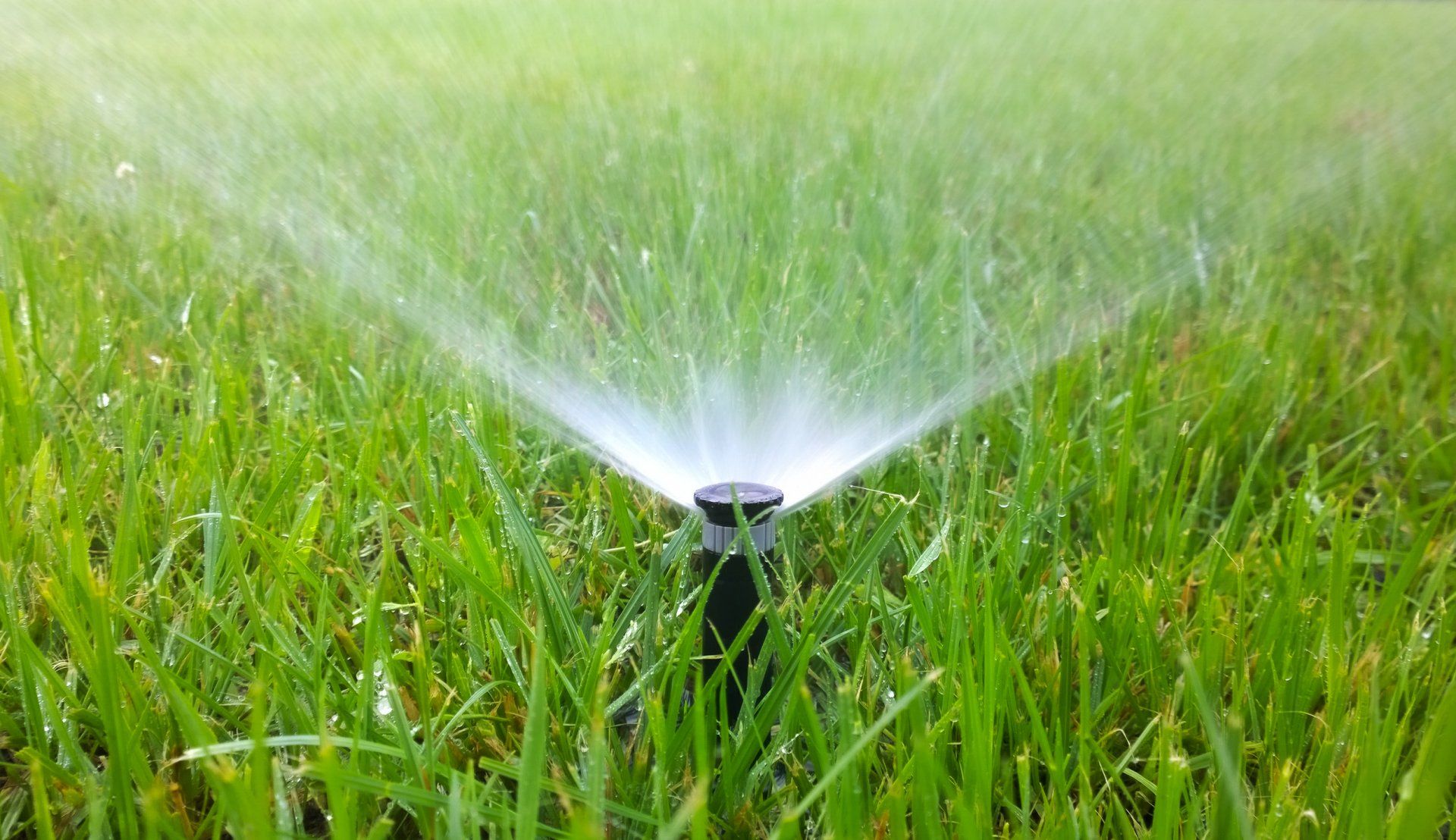 Lawn Sprinkler Watering Grass in Yard — Prineton, MN — Legacy Landscaping and Irrigation