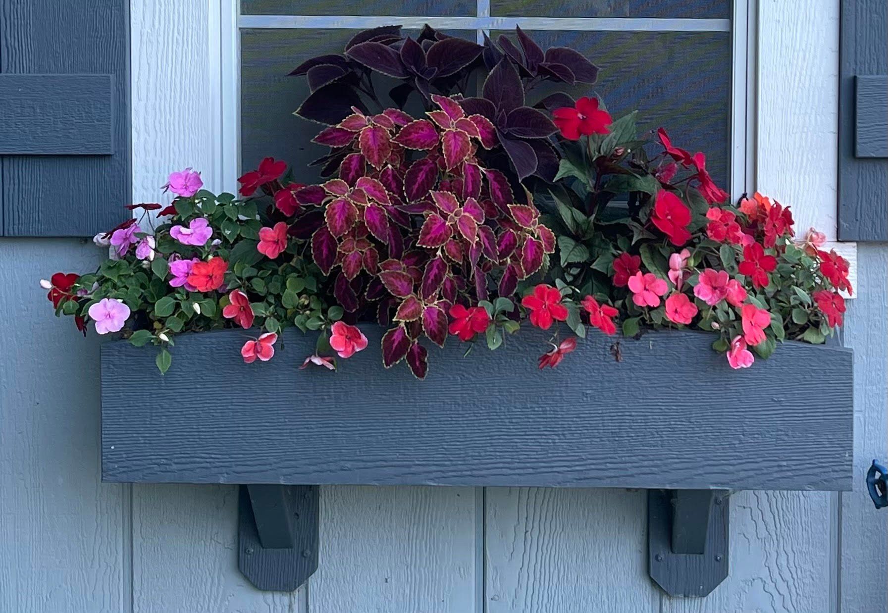 Hanging Container Plant — Prineton, MN — Legacy Landscaping and Irrigation