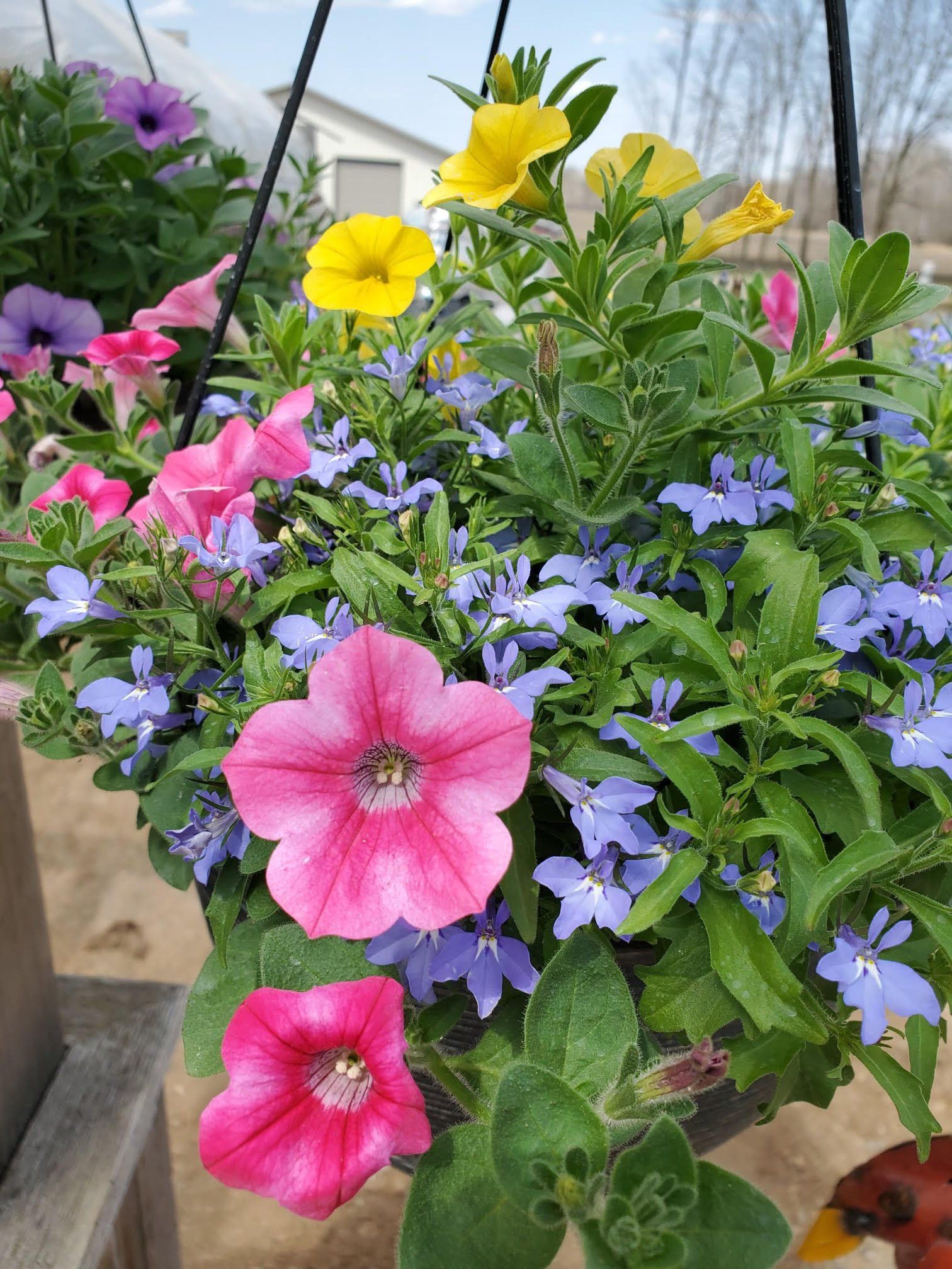 Gardening and Planting — Prineton, MN — Legacy Landscaping and Irrigation