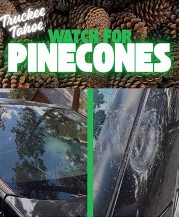 Windshield replacement in Grass Valley, CA