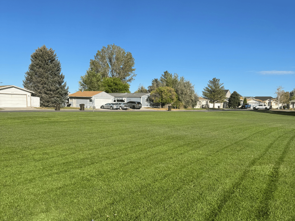 Large green lawn with mowed stripes, houses and trees against a blue sky - Lawn Care Service in Woods Cross by Redstone..