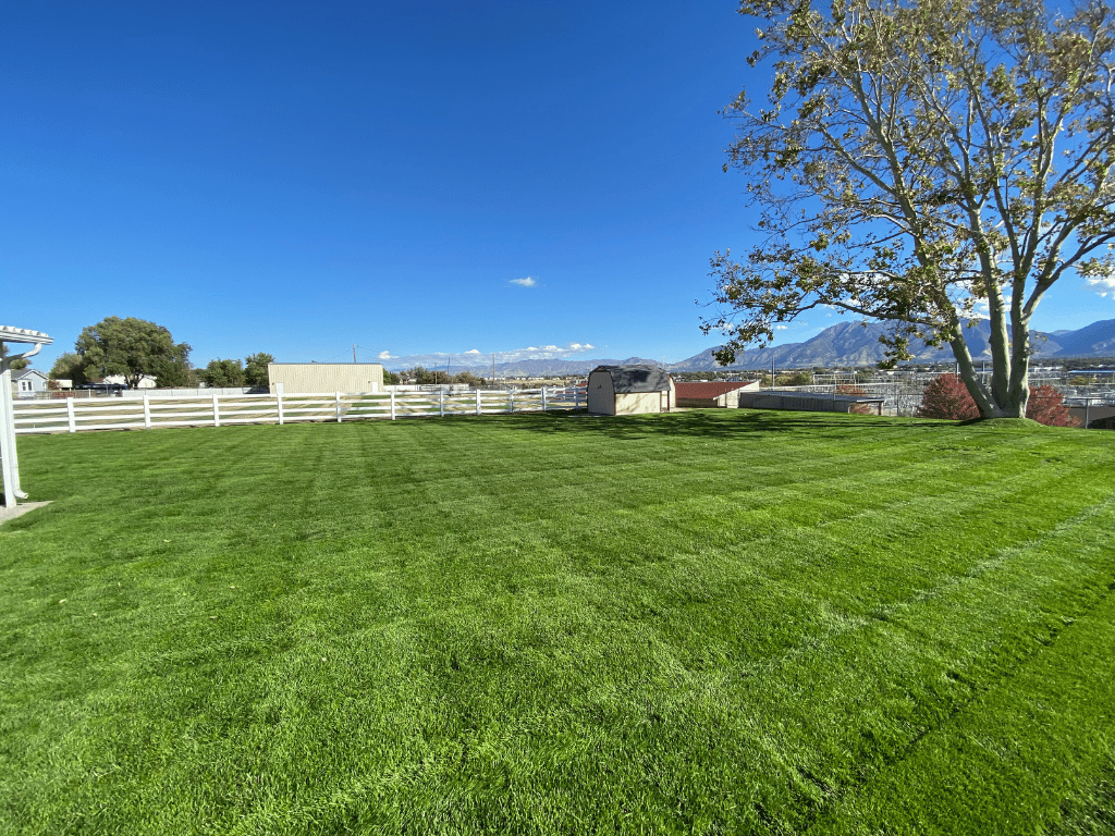 Well-maintained residential lawn showcasing Redstone's professional lawn care results in Cottonwood Heights, Utah