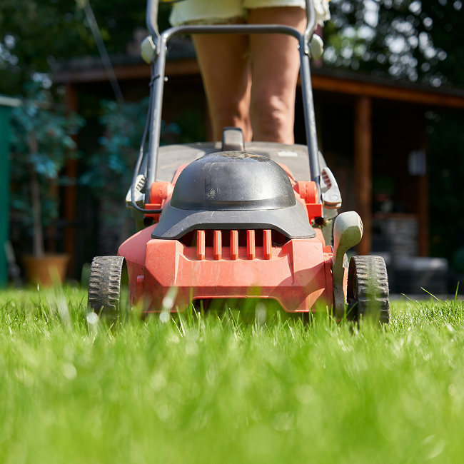 A woman is using an electric lawn mower to cut the grass.