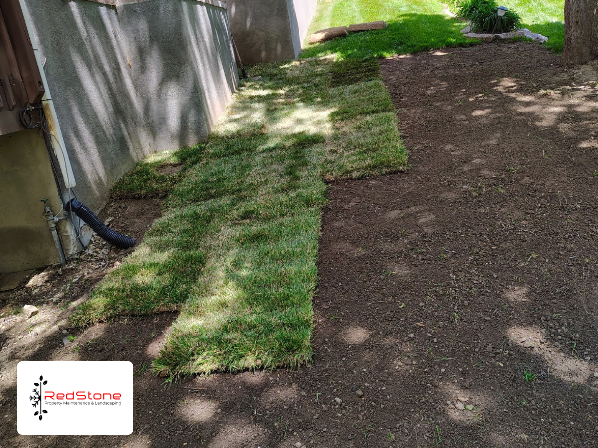 Sod installation and lawn repair in Bountiful Utah showing new grass placement for yard restoration