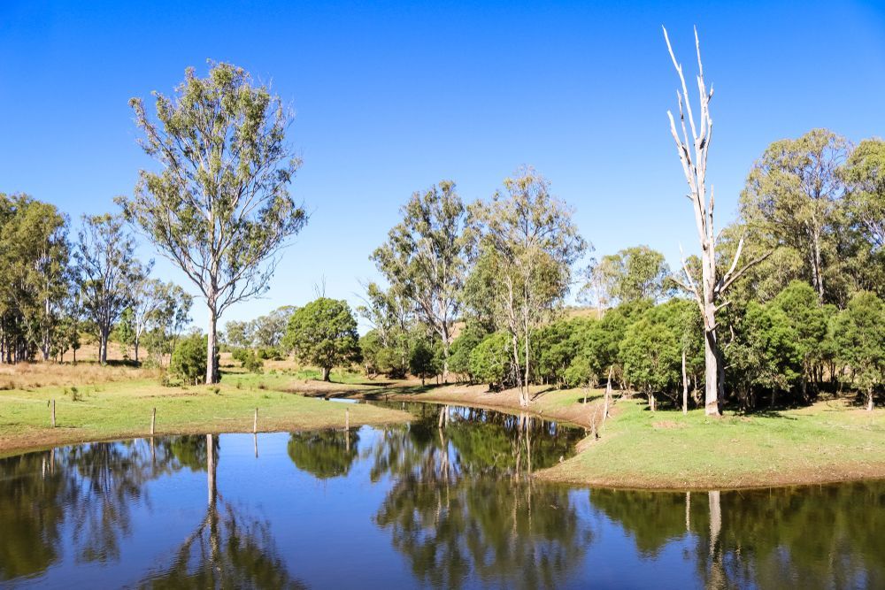 A Small Pond Surrounded by Trees on a Sunny Day — SNS Custom Fabrication in Calliope, QLD