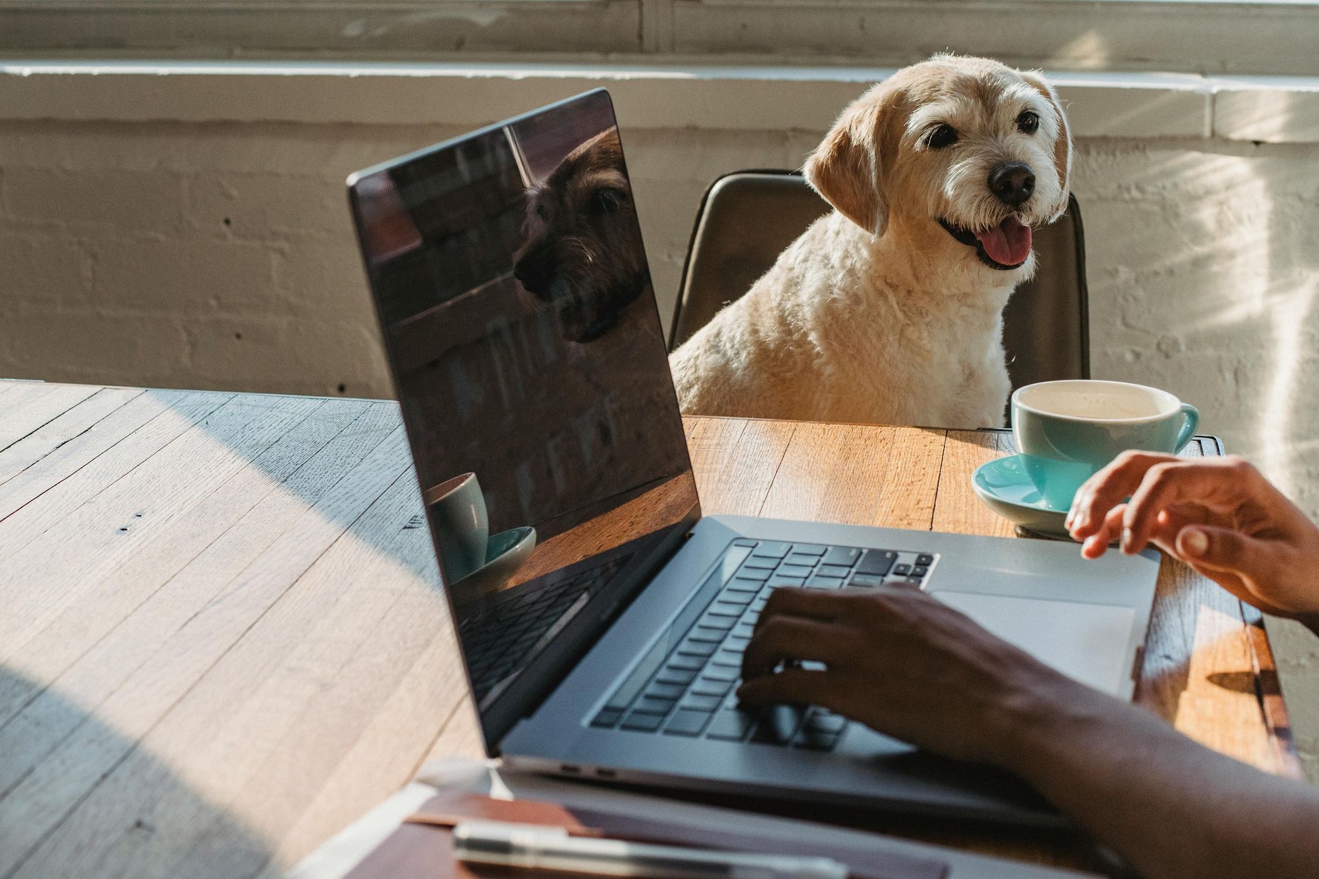 Person typing on laptop at a table with a dog and a cup of coffee.