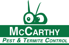 A green logo for McCarthy Pest & Termite Control featuring a cartoon bug above the business name.