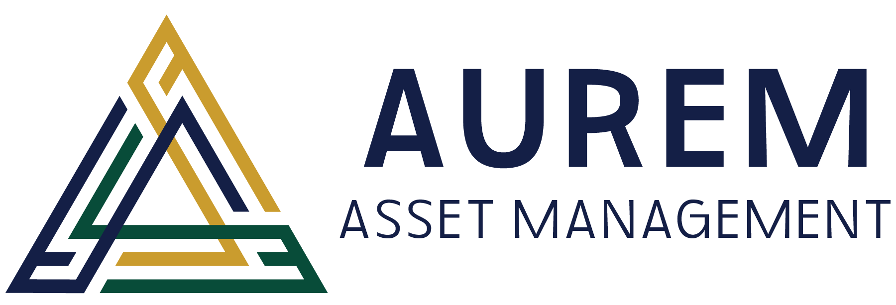 The logo for aurem asset management shows a triangle and the words asset management.