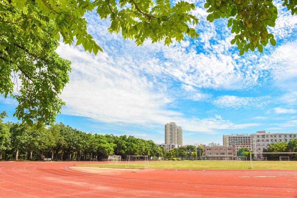 School Ovals — Sydney, NSW — Qualturf