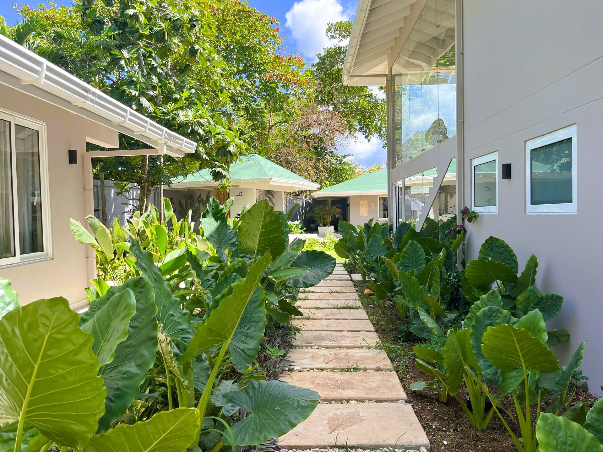 Sendero rodeado de jardines y vegetación entre edificios blancos en hotel solo adultos en San Andrés.
