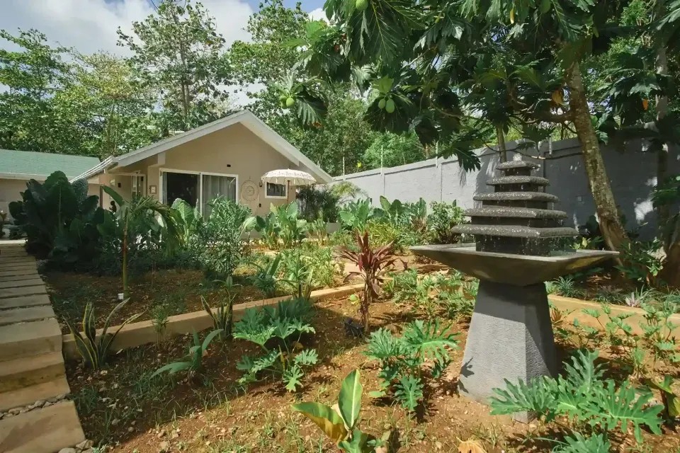Jardín tropical con vegetación en hotel en San Andrés, espacio tranquilo rodeado de naturaleza.
