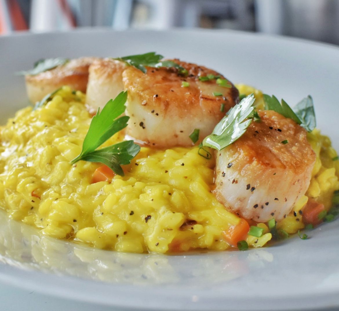 Prima Dopo Dayboat Scallop w/Saffron Risotto