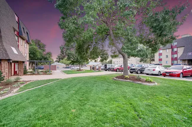 Grassy courtyard with trees, buildings, and parked cars under a colorful sunset sky.
